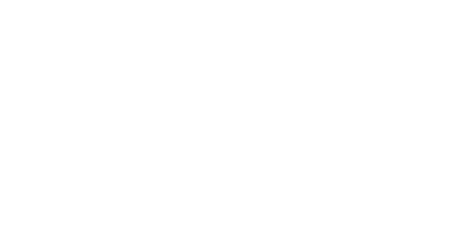 Reformed Pilates